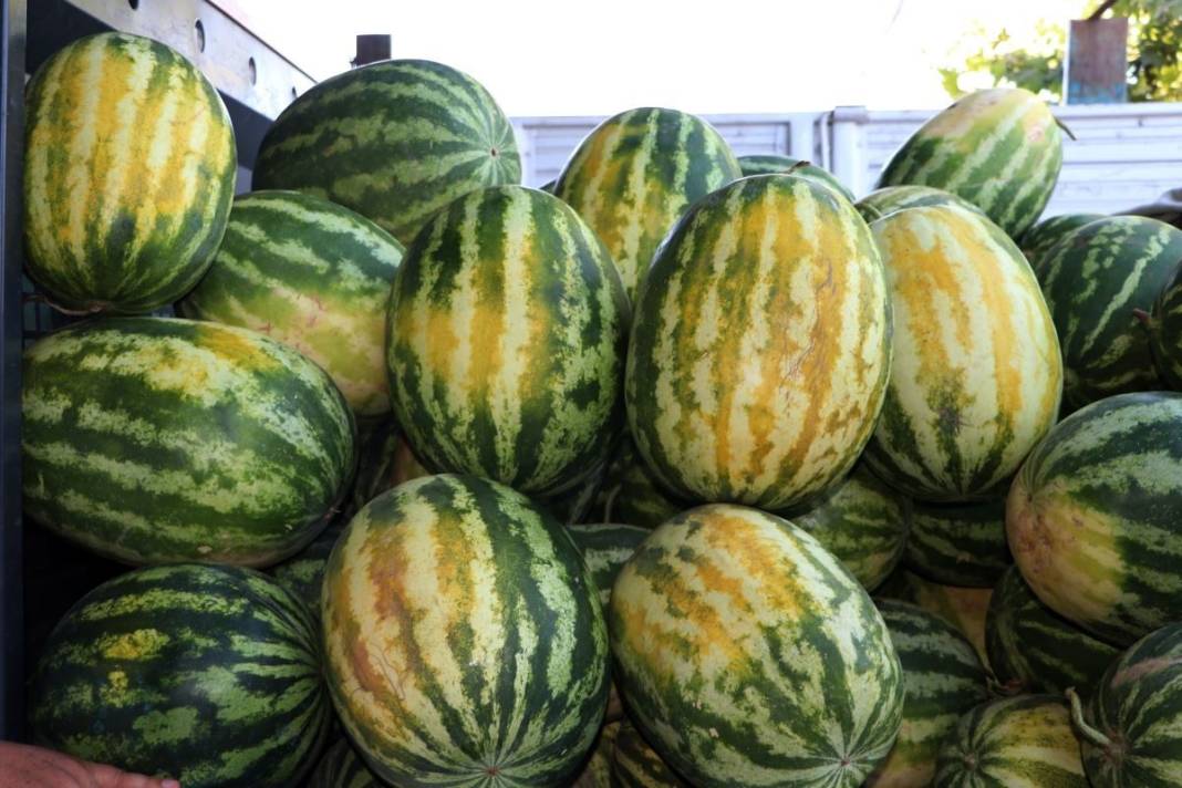 Dilim karpuzun fiyatını duyanlar küçük dilini yuttu! Asgari ücretliye karpuz almak hayal oldu 7